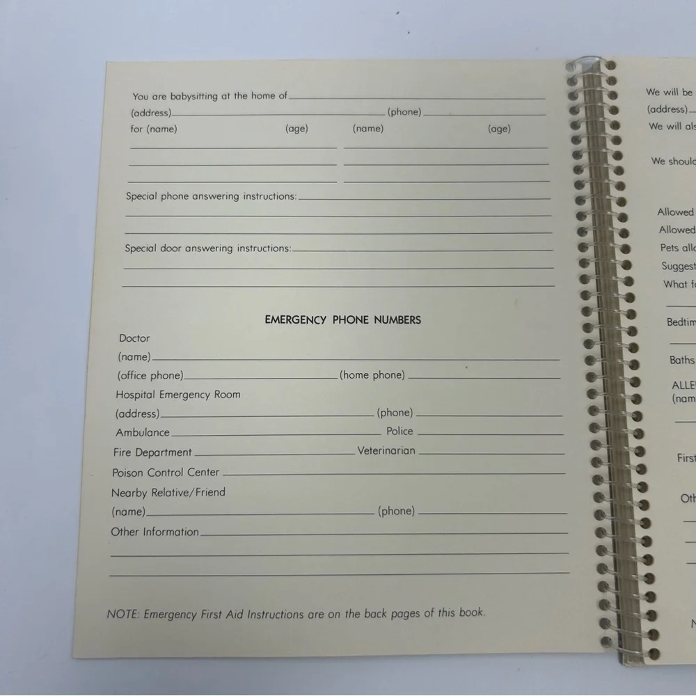 Vintage Hallmark 1972 Dear Babysitter book notebook instructions by Betsey Clark